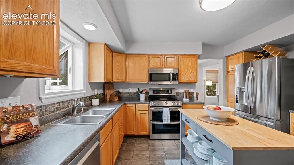 4350 Old Windmill Way Castle Rock CO 80109
