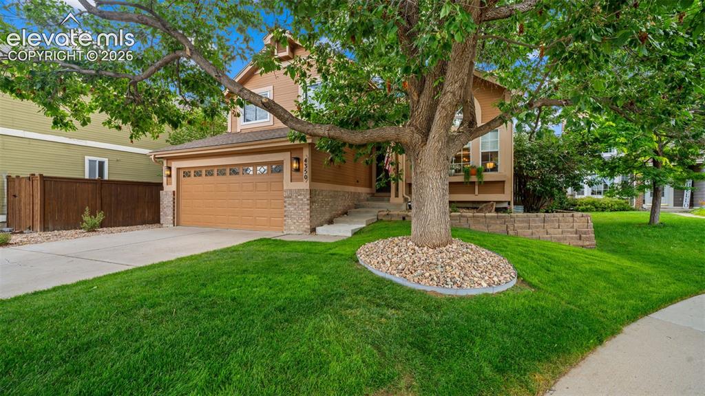 4350 Old Windmill Way Castle Rock CO 80109