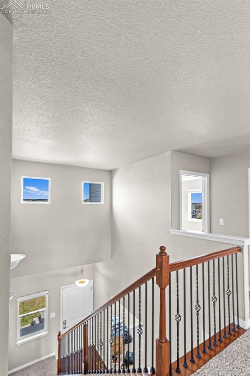 6719 Black Saddle Drive Colorado Springs CO 80924