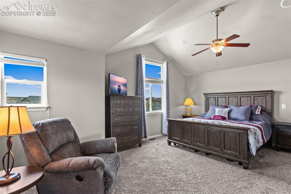 6719 Black Saddle Drive Colorado Springs CO 80924