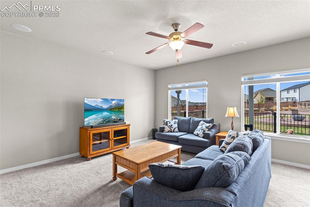 6719 Black Saddle Drive Colorado Springs CO 80924