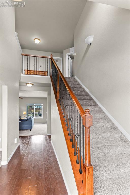 6719 Black Saddle Drive Colorado Springs CO 80924