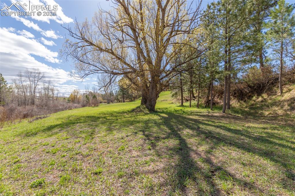 721 Forest View Road Monument CO 80132