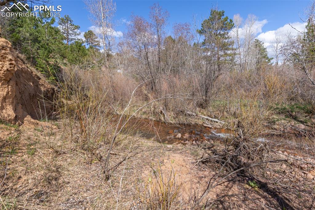 721 Forest View Road Monument CO 80132