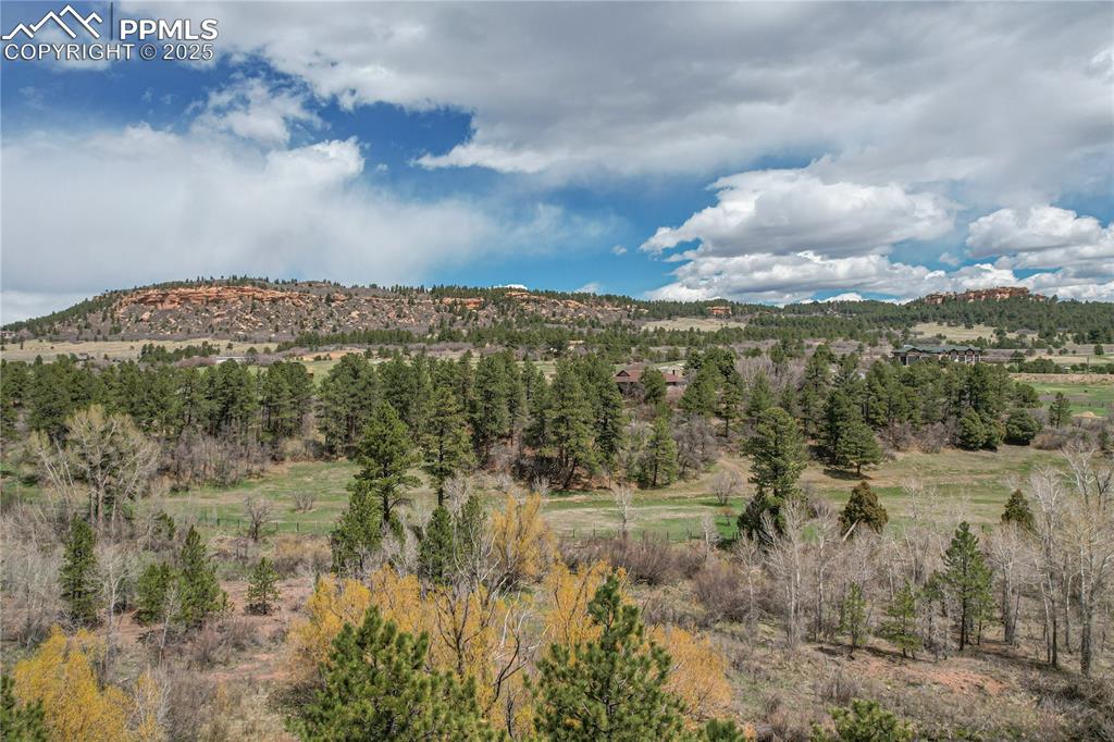 721 Forest View Road Monument CO 80132