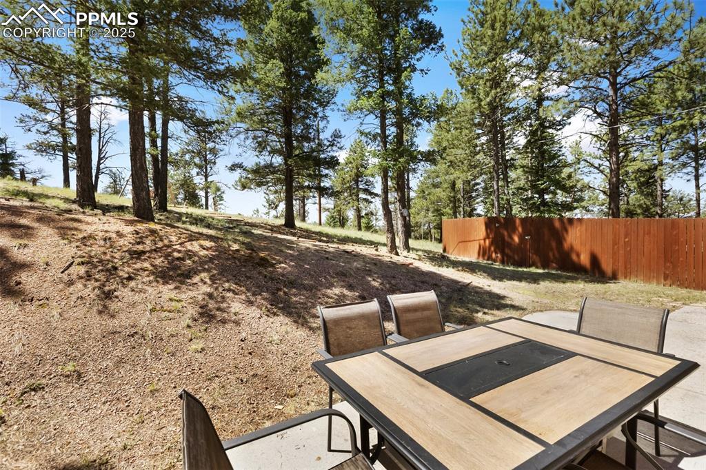 234 Wasatch Lane Florissant CO 80816