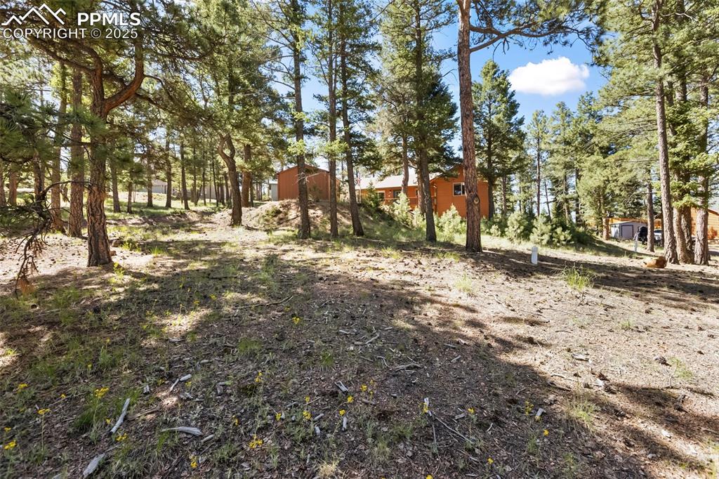 234 Wasatch Lane Florissant CO 80816