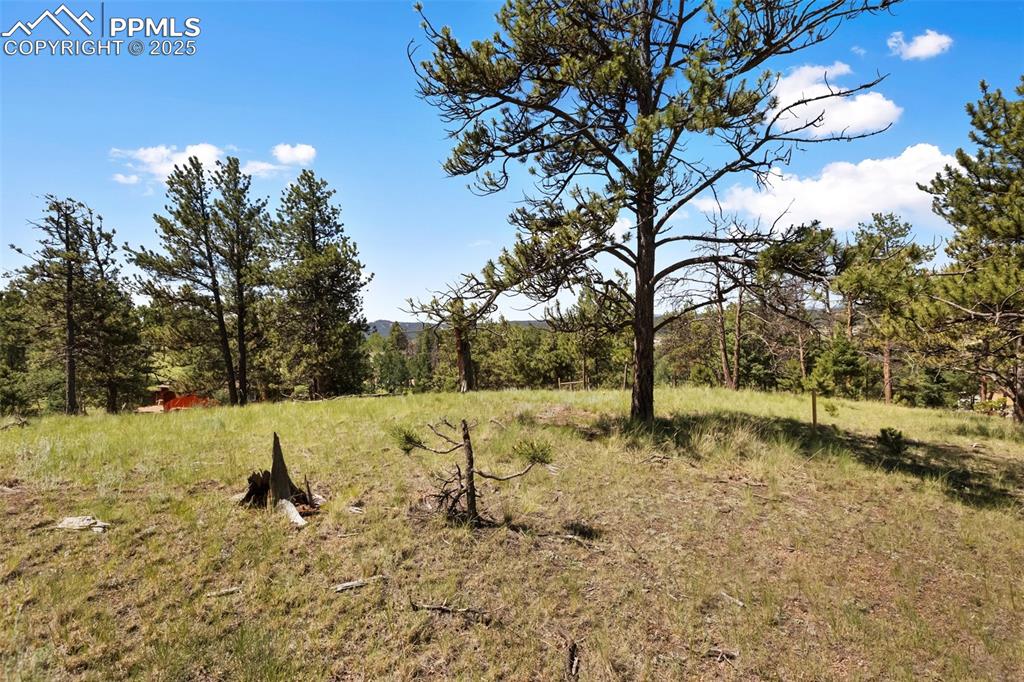 234 Wasatch Lane Florissant CO 80816