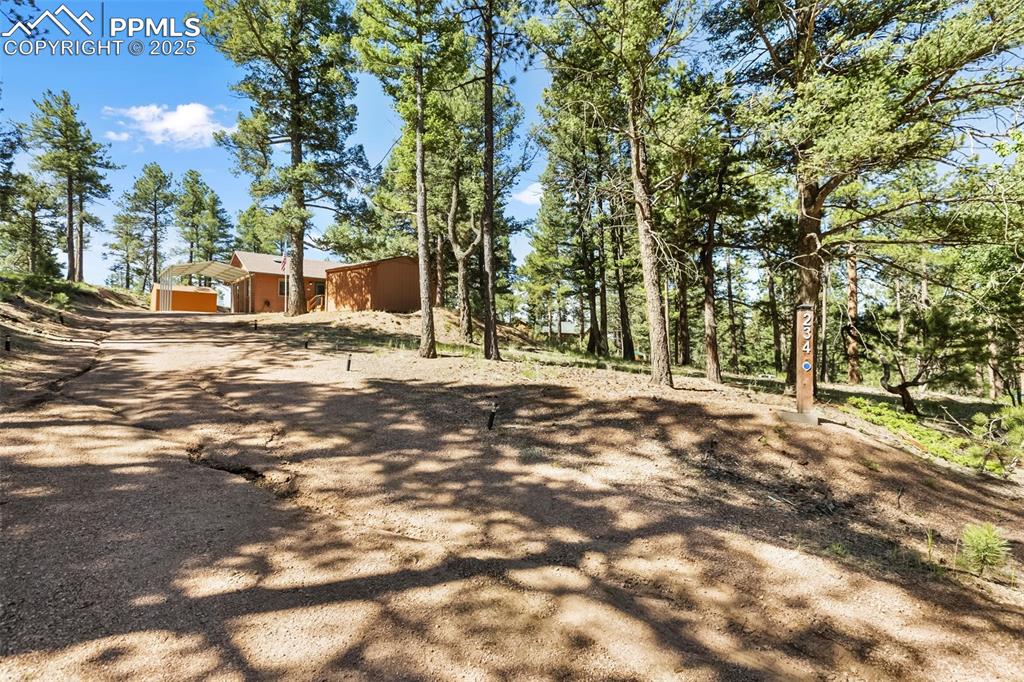234 Wasatch Lane Florissant CO 80816