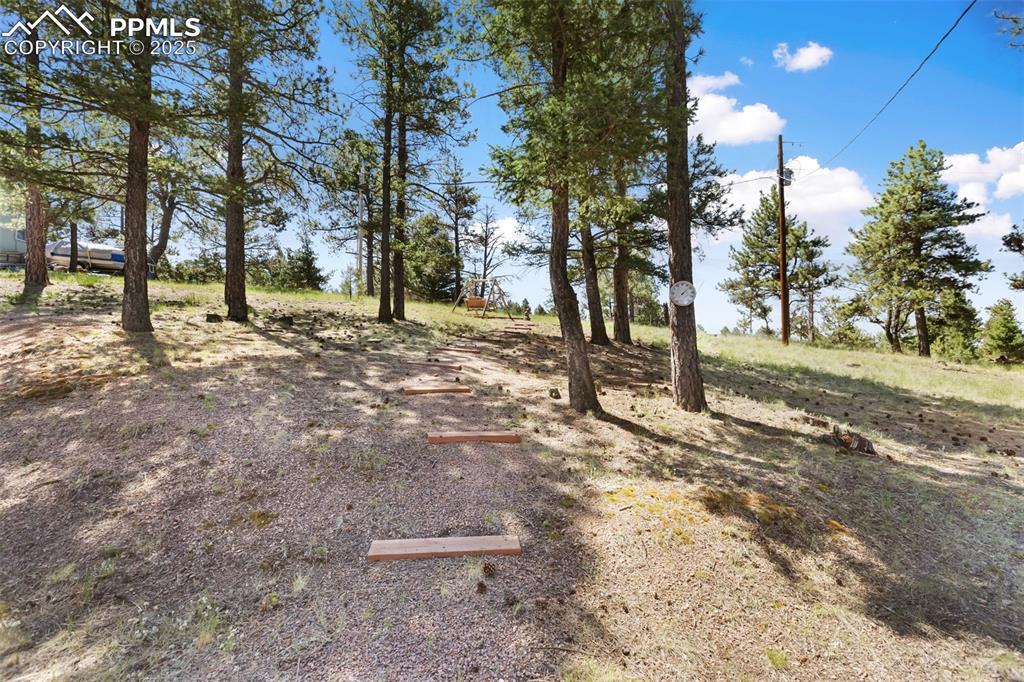 234 Wasatch Lane Florissant CO 80816