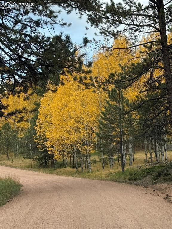 234 Wasatch Lane Florissant CO 80816