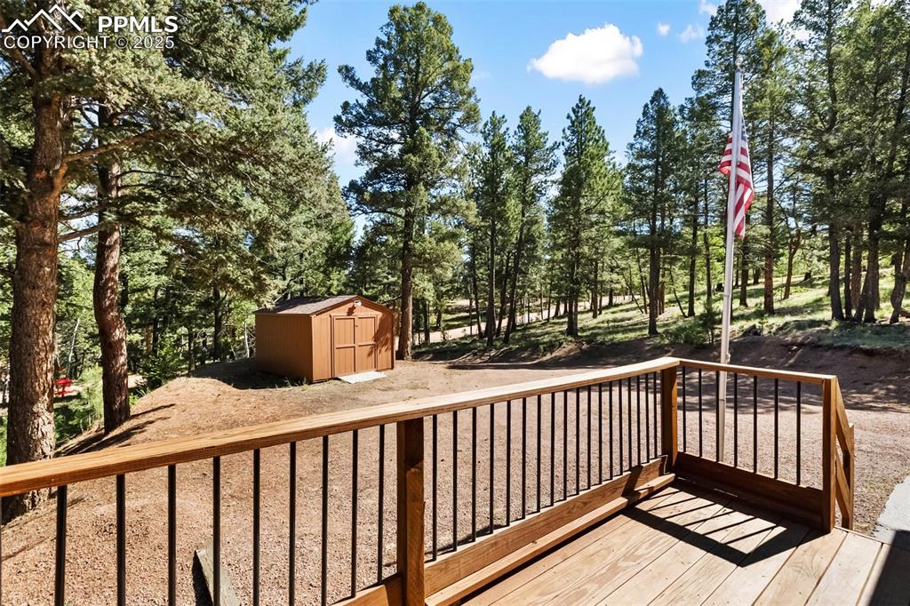 234 Wasatch Lane Florissant CO 80816