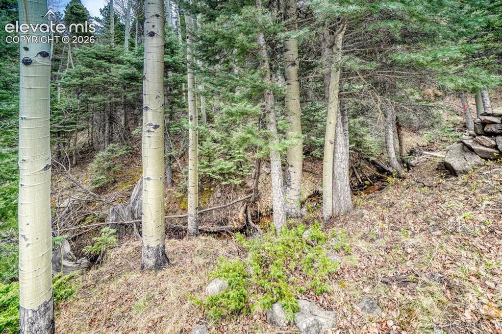 72 Gibson Road Westcliffe CO 81252