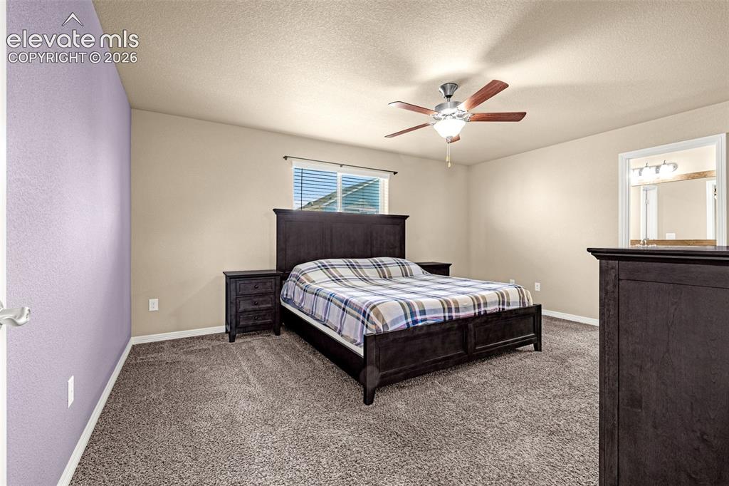 10924 Nolin Drive Colorado Springs CO 80925