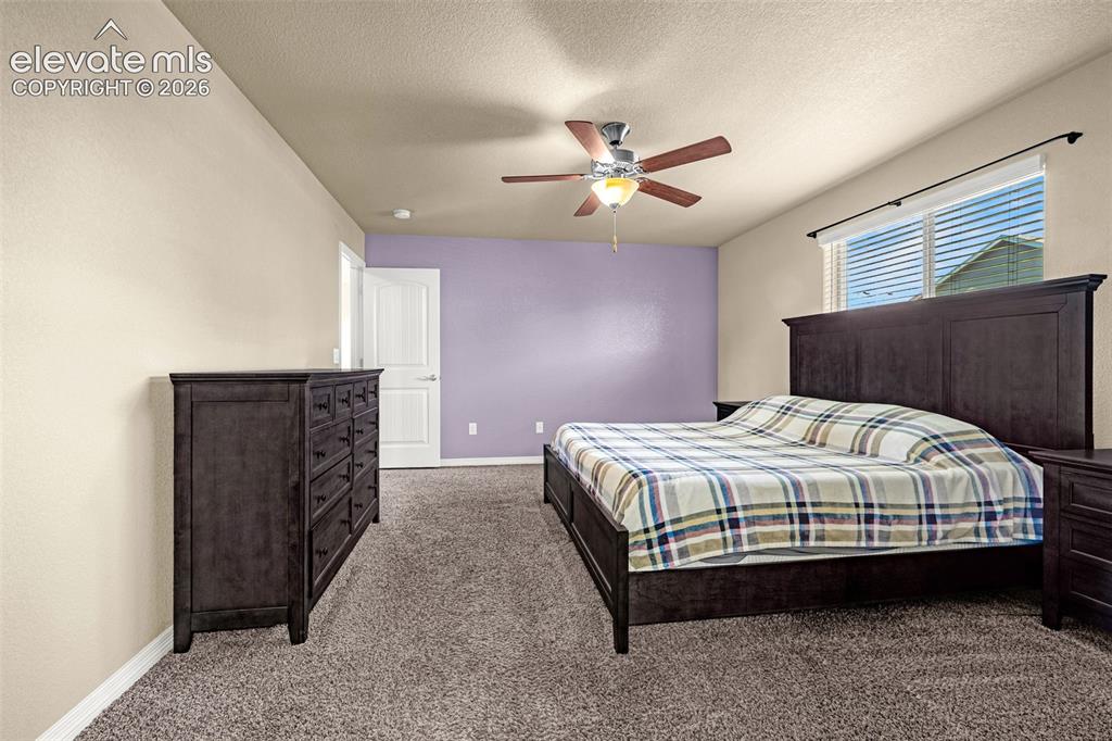 10924 Nolin Drive Colorado Springs CO 80925