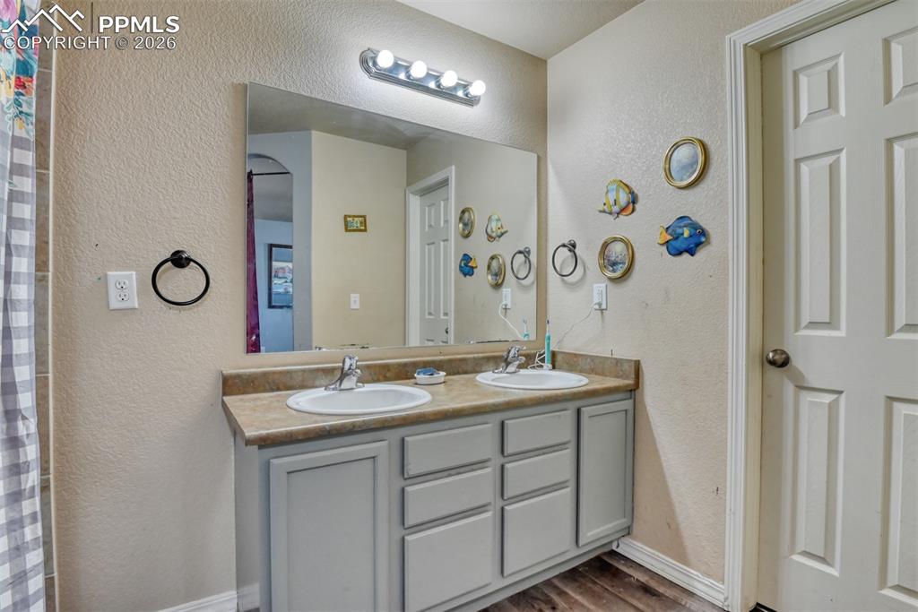 3777 Swainson Drive Colorado Springs CO 80922