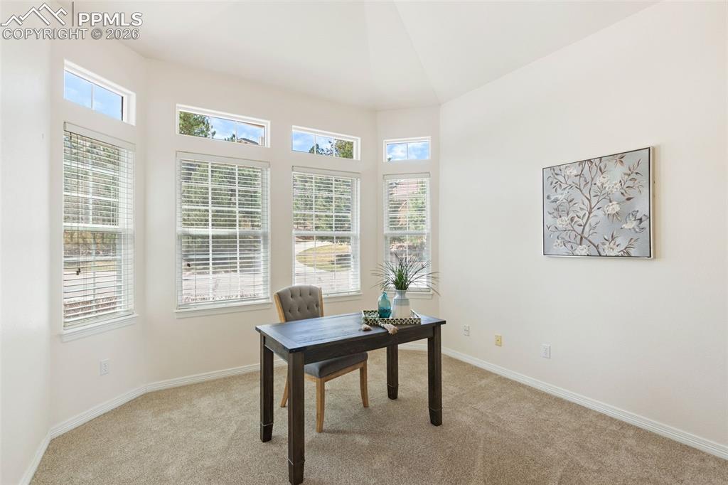 2290 Cape Pine Way Colorado Springs CO 80919