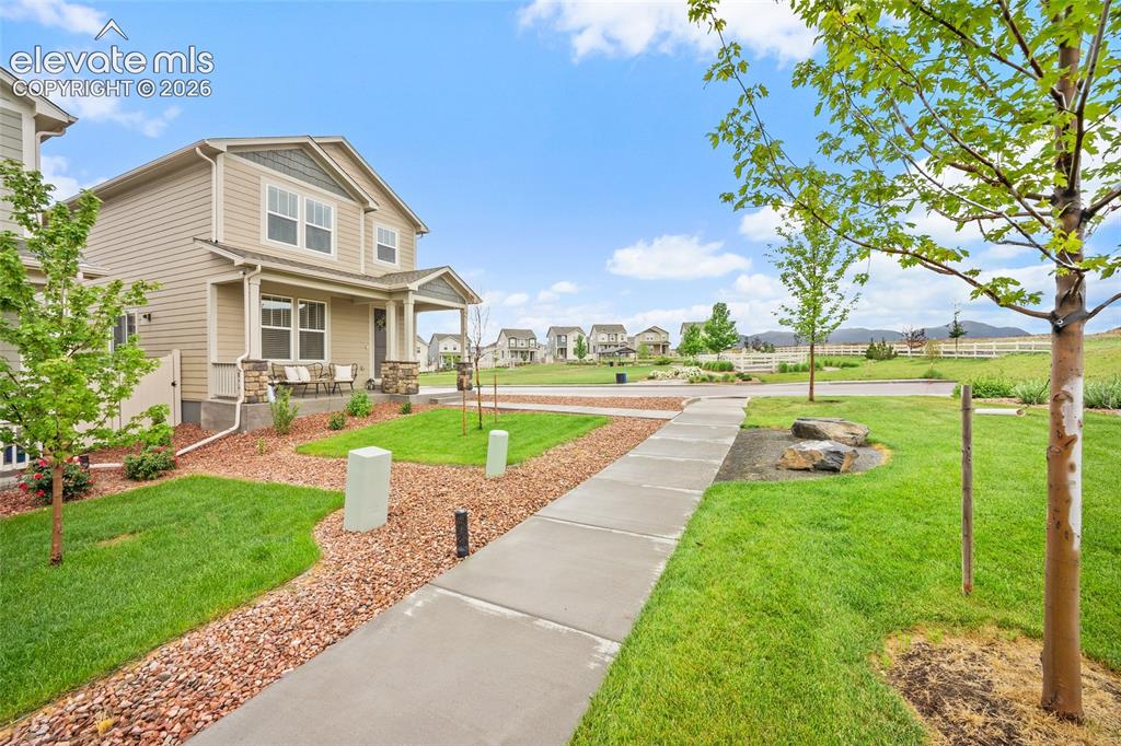 8210 Nutterbutter Point Colorado Springs CO 80925