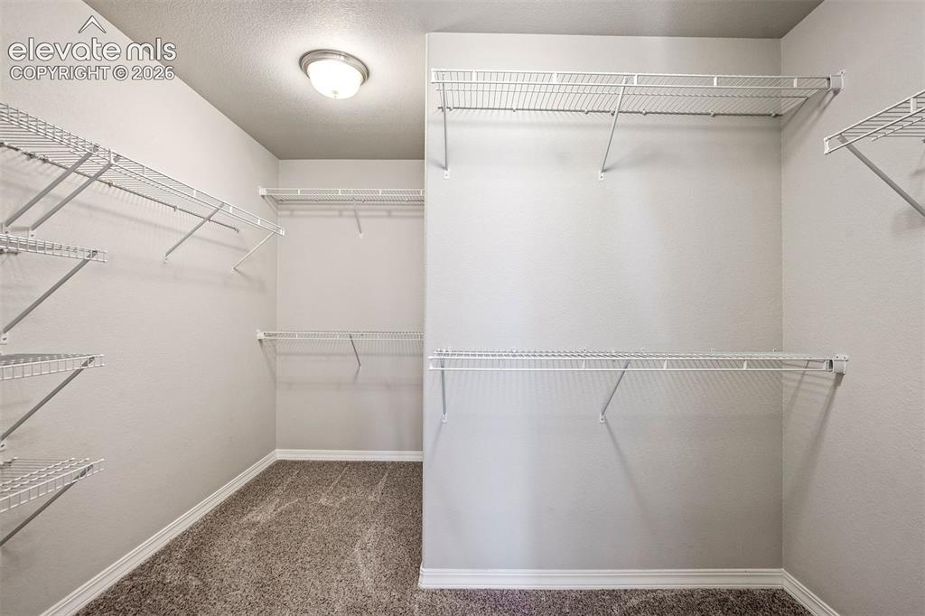 6461 Stonefly Drive Colorado Springs CO 80924