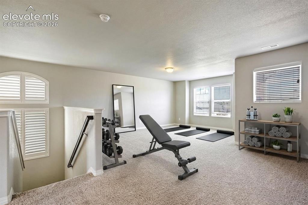6461 Stonefly Drive Colorado Springs CO 80924