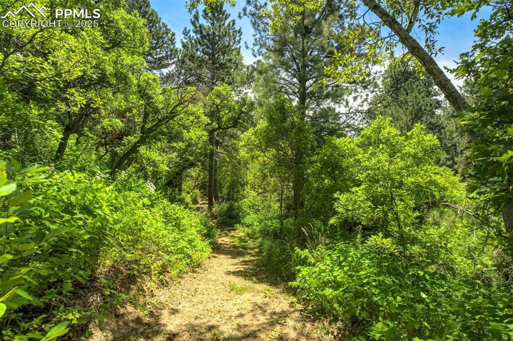 400 Valley Crescent Street Palmer Lake CO 80133