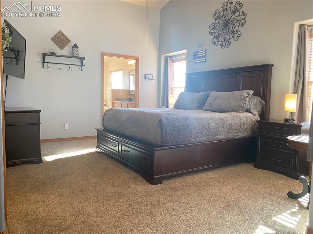 10803 Greenbelt Drive Peyton CO 80831