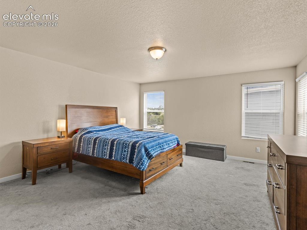 1564 Grand Overlook Street Colorado Springs CO 80910