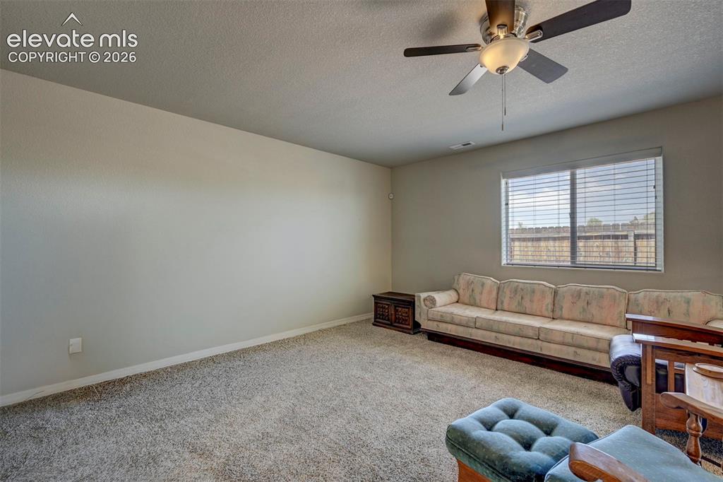 11522 Moonrock Heights Peyton CO 80831