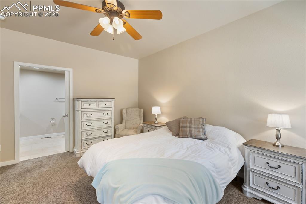 71 Mount Elbert Drive Florissant CO 80816