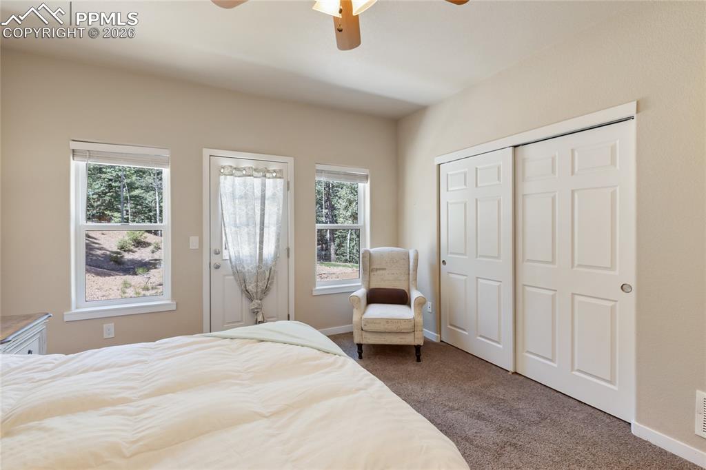 71 Mount Elbert Drive Florissant CO 80816