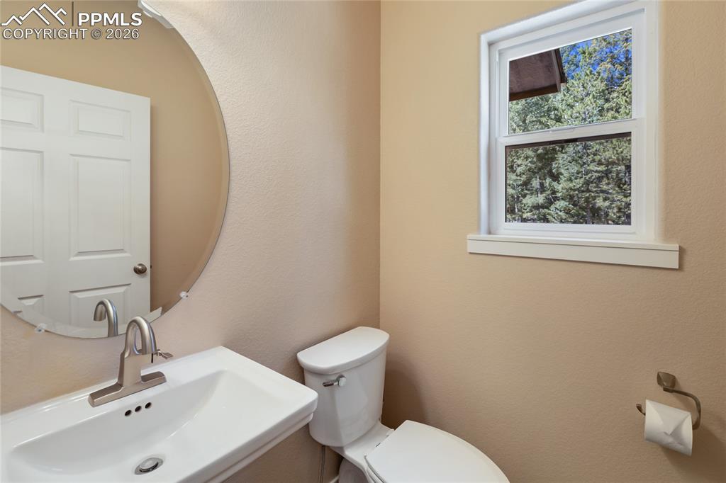 71 Mount Elbert Drive Florissant CO 80816