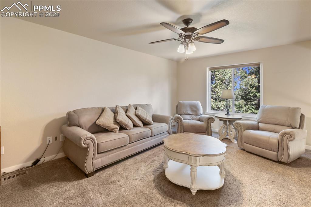 71 Mount Elbert Drive Florissant CO 80816