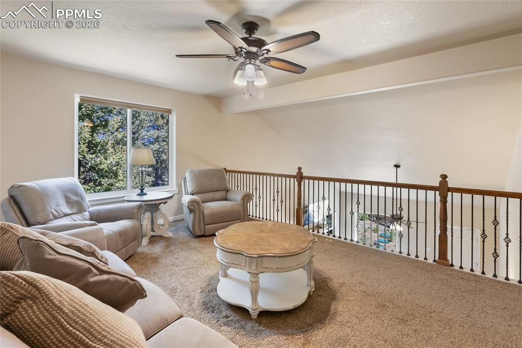 71 Mount Elbert Drive Florissant CO 80816