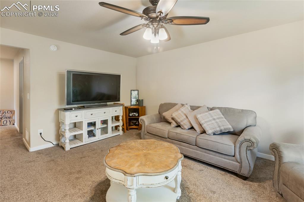 71 Mount Elbert Drive Florissant CO 80816