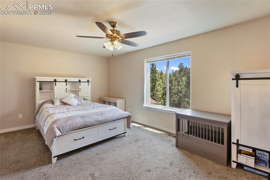 71 Mount Elbert Drive Florissant CO 80816