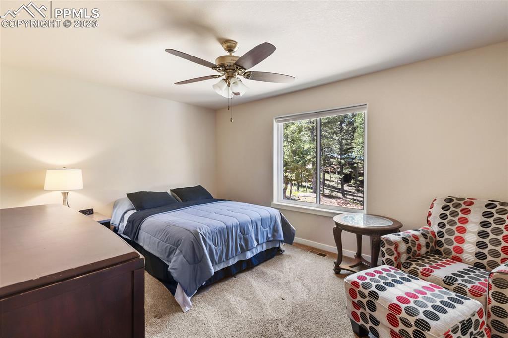 71 Mount Elbert Drive Florissant CO 80816
