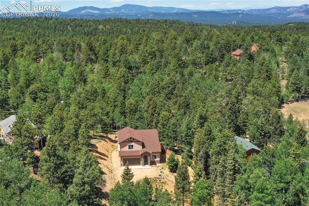 71 Mount Elbert Drive Florissant CO 80816
