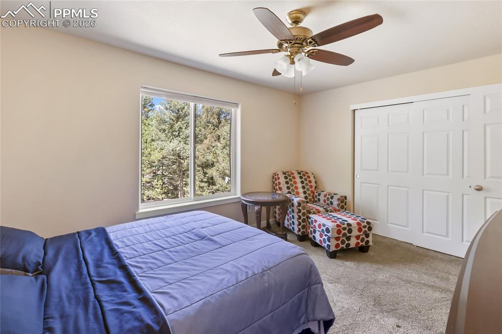 71 Mount Elbert Drive Florissant CO 80816