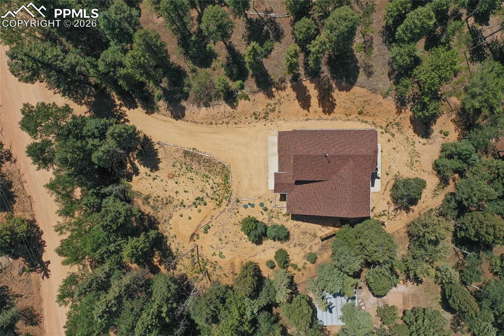 71 Mount Elbert Drive Florissant CO 80816