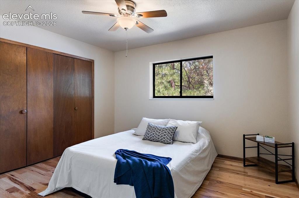 6520 Hawkeye Circle Colorado Springs CO 80919