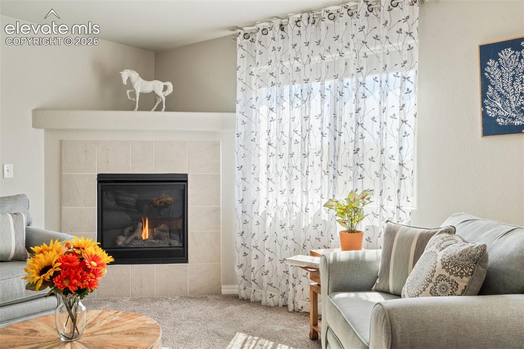 8293 Lodge Grass Way Colorado Springs CO 80908