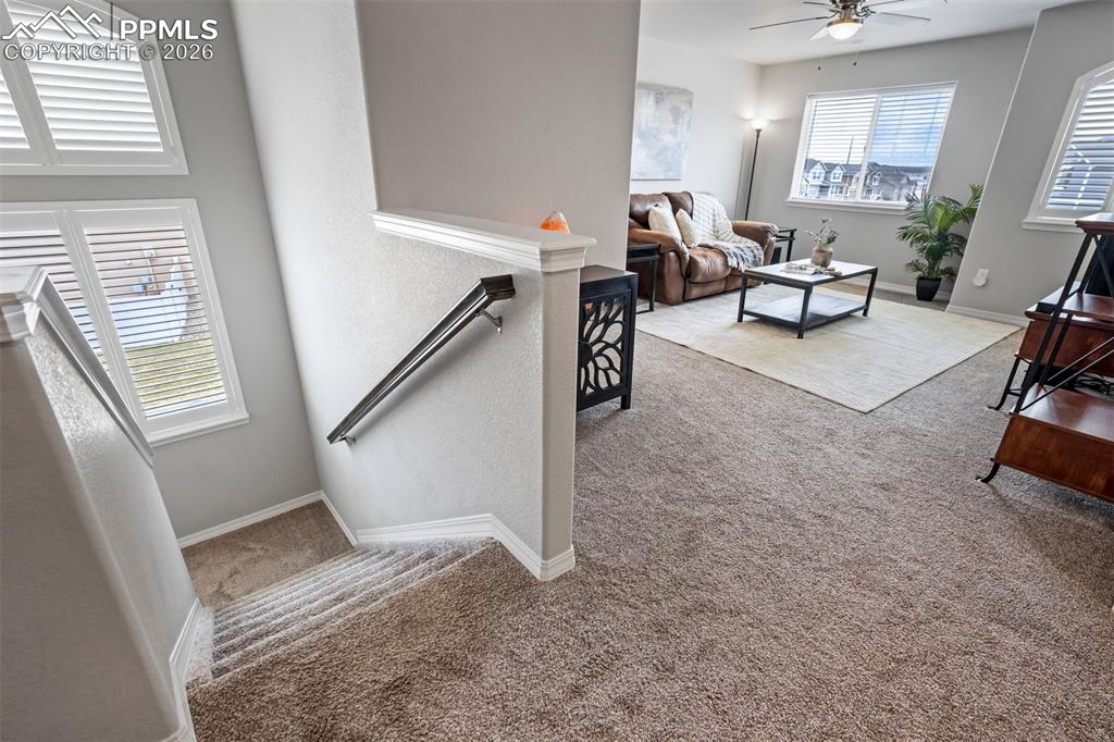 4314 Prairie Agate Drive Colorado Springs CO 80938