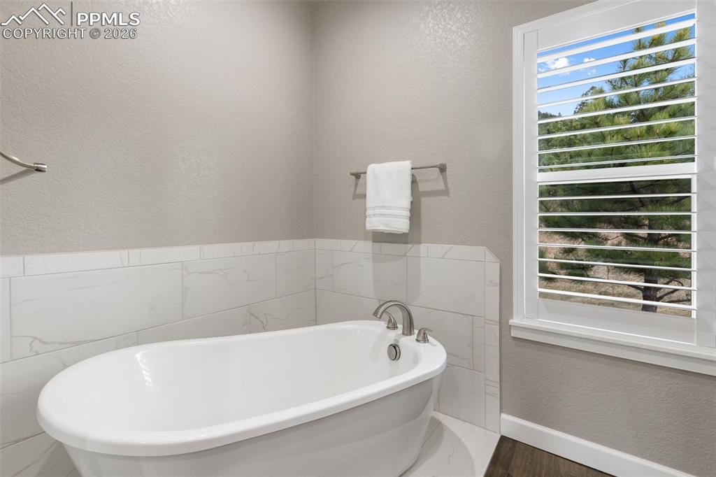 1120 Highlands Court Woodland Park CO 80863