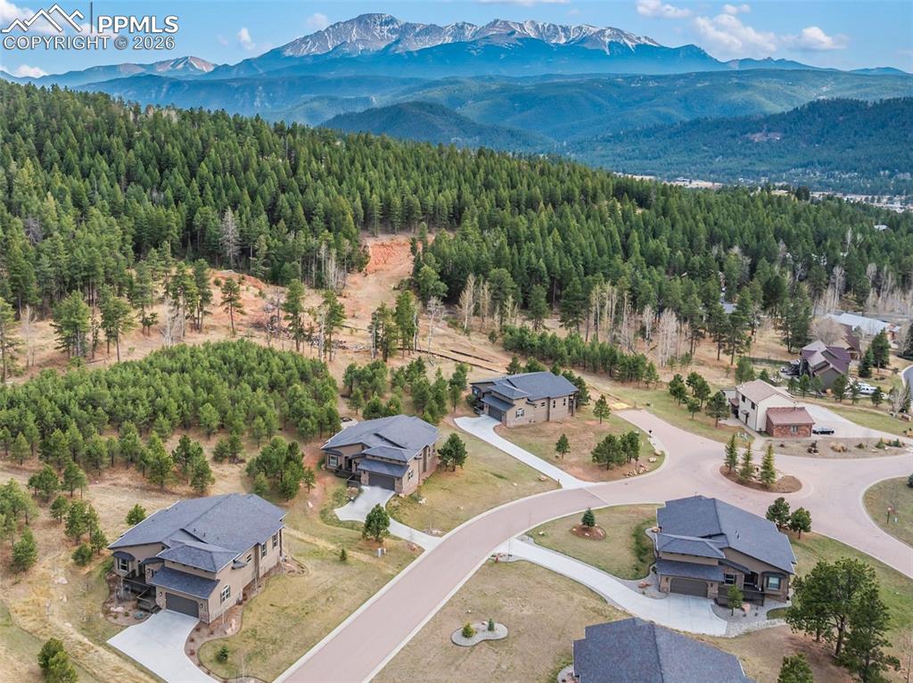 1120 Highlands Court Woodland Park CO 80863