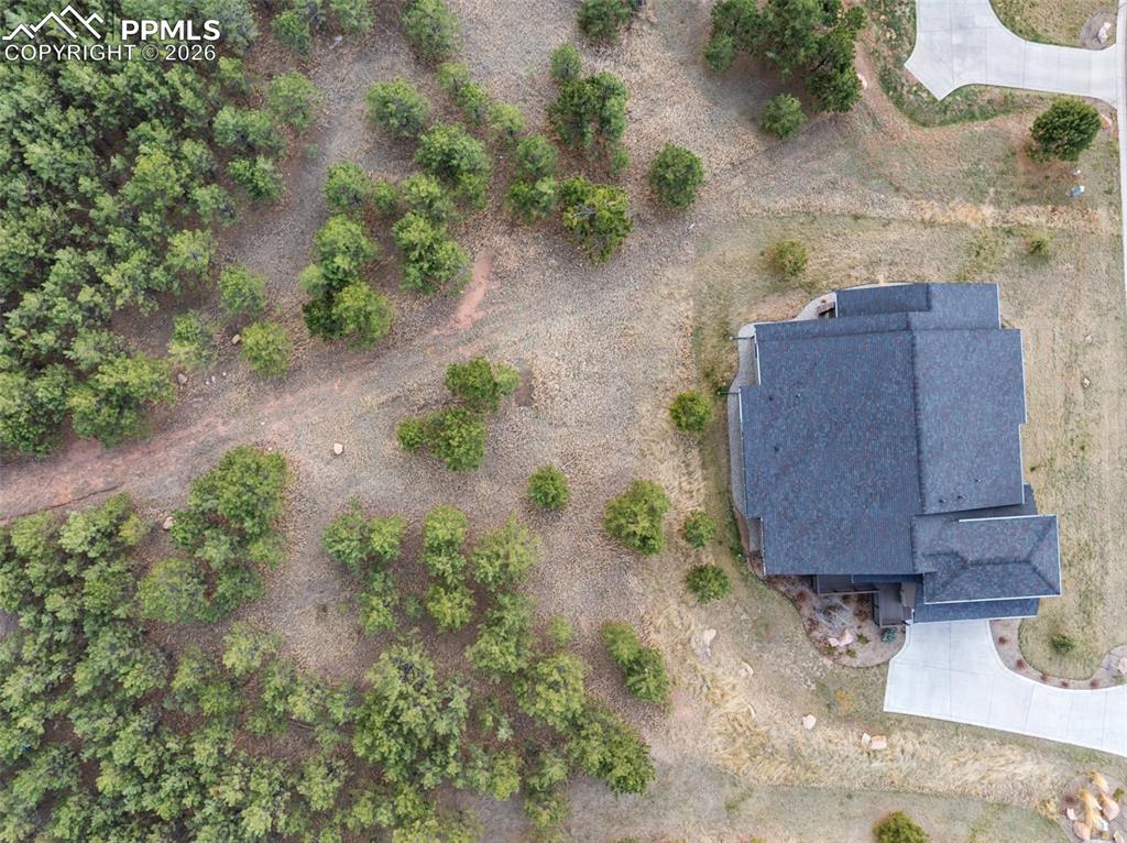 1120 Highlands Court Woodland Park CO 80863