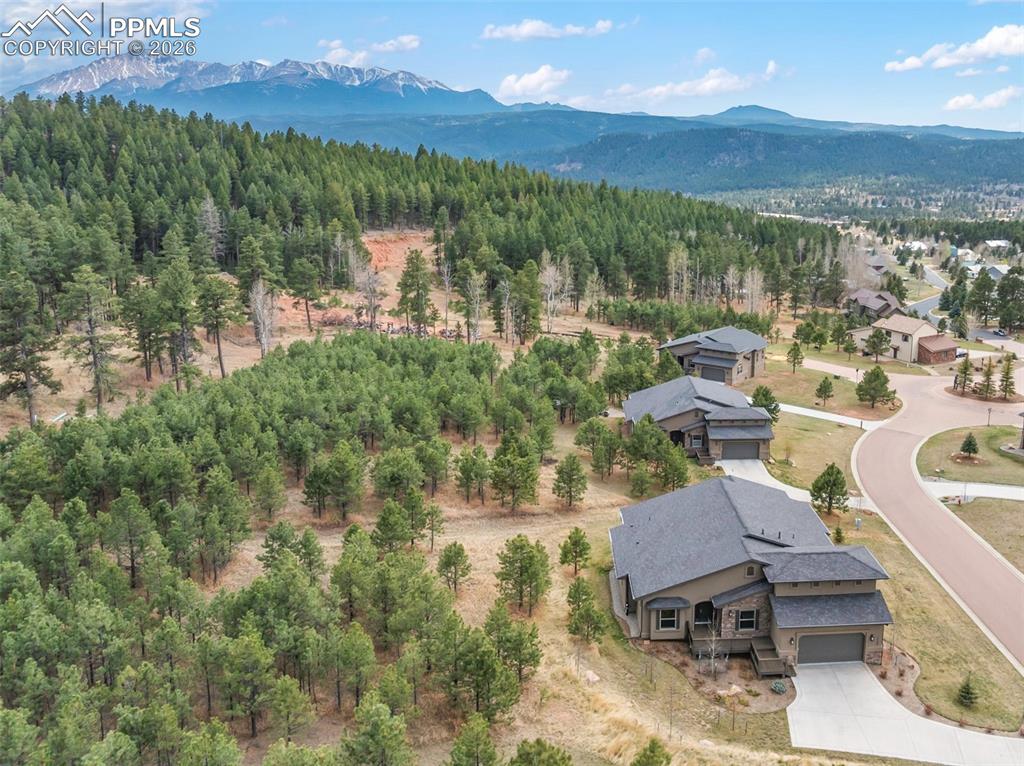 1120 Highlands Court Woodland Park CO 80863