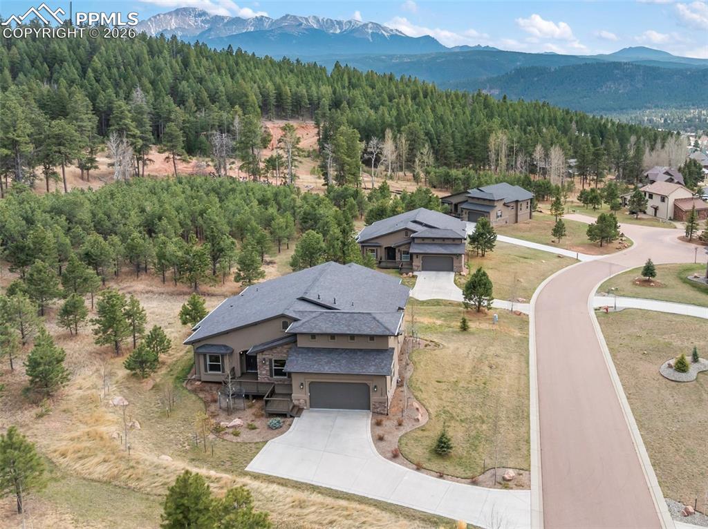 1120 Highlands Court Woodland Park CO 80863
