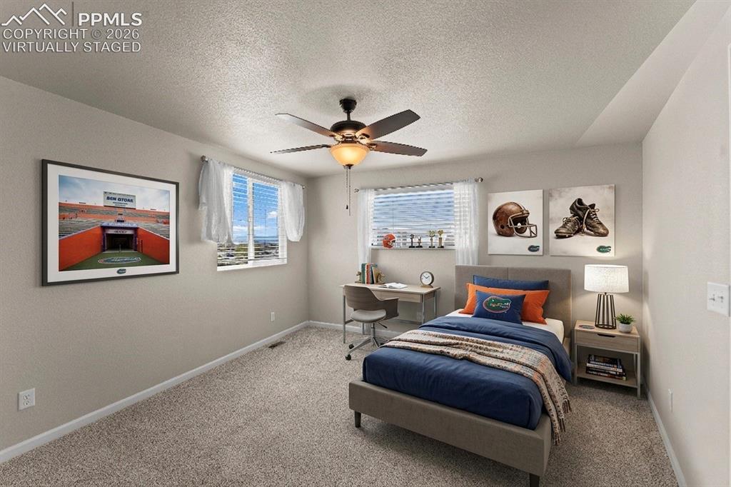 11344 Neutra Grove Peyton CO 80831