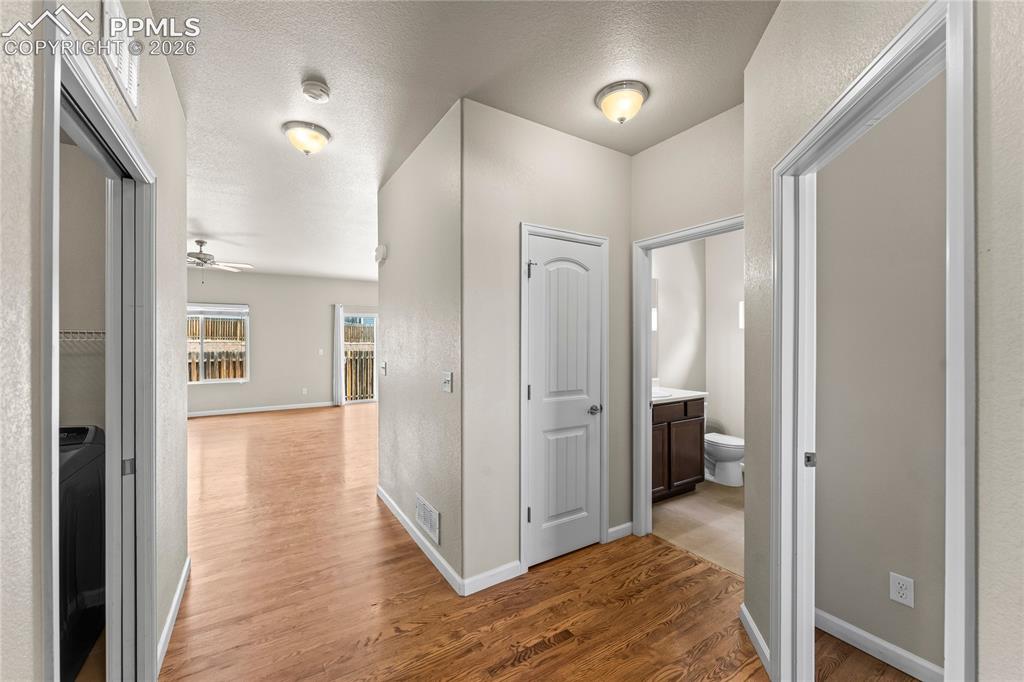 11344 Neutra Grove Peyton CO 80831