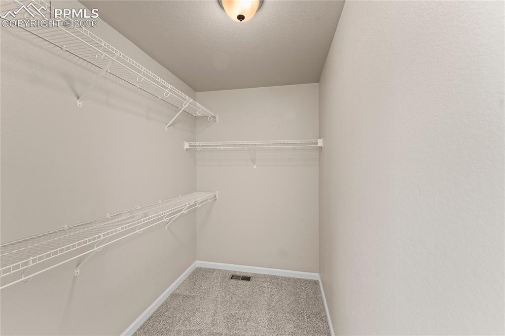 11344 Neutra Grove Peyton CO 80831